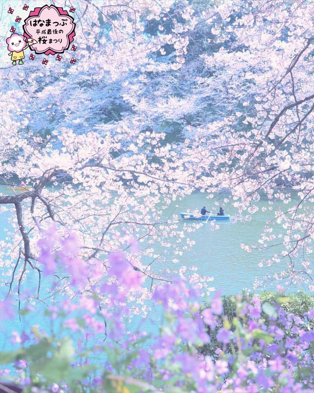 はなまっぷ❁日本の花風景さんのインスタグラム写真 - (はなまっぷ❁日本の花風景Instagram)「🍃🌸はなまっぷ平成最後の桜まつり🌸🍃 * @naomi3flower さんの 平成の桜に花まるを💮 * 平成を彩る日本の美しい桜をありがとうございます😊🌸🍃 * 東京  #千鳥ヶ淵 Chidorigafuchi, Tokyo. * 見頃を過ぎている場所もご紹介しています。 お出かけの際はHP等で最新の情報をご確認くださいね🙏🌸🍃 * 🌸•••🍃•••🌸•••🍃•••🌸•••🍃•••🌸 * 🌸桜まつり概要🌸 * 期間:平成最後の日まで タグ:#はなまっぷ * #はなまっぷ  のタグの中から、桜のお写真をどんどんご紹介させていただきます。期間中はランダムに、複数枚投稿でもご紹介させていただく場合がございます。 * #桜#sakura#花見#さくら#日本#春#花#平成最後の#満開 * 🌸•••🍃•••🌸•••🍃•••🌸•••🍃•••🌸 * はなまっぷより * 💌LINEスタンプ「はなまっぷちゃん」絶賛発売中！みなさんのLINEにも花まるを💮 💌はなまっぷ本、Amazonや全国の書店さんで満開です！ぜひお手にとっていただけると嬉しいです🌸 * LINEスタンプ、はなまっぷ本は、プロフ欄記載のTwitterアカウントよりご確認ください。 * 🌸•••🍃•••🌸•••🍃•••🌸•••🍃•••🌸 *」4月2日 8時14分 - hanamap