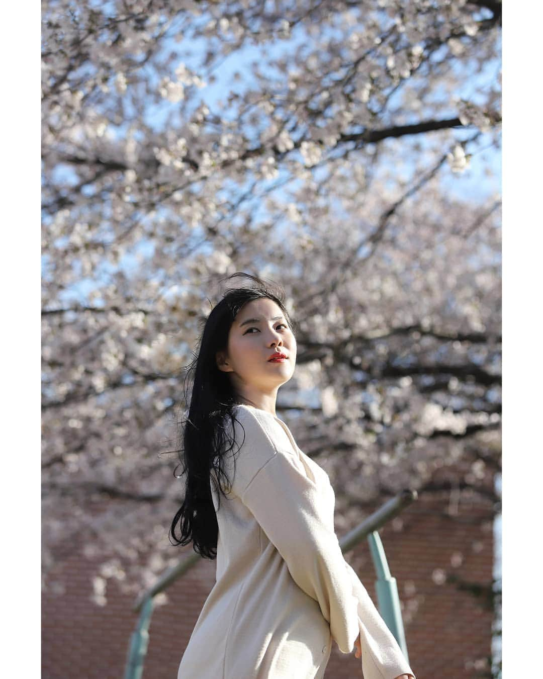 Photographer_善甫(선보)さんのインスタグラム写真 - (Photographer_善甫(선보)Instagram)「4月には 彼女がくる🌸」4月2日 8時26分 - sunbostyle