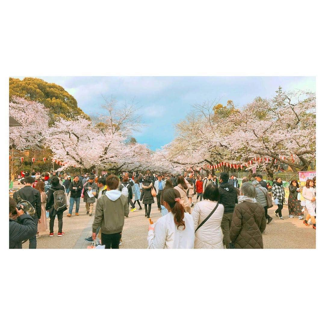 水沢史絵さんのインスタグラム写真 - (水沢史絵Instagram)「お着物を着て、上野に桜を見に行ってきましたー！ お正月に着た大島👘帯は銀座結びにしてみました😄 パルコで出会ったご婦人に褒めて貰えました😆ついでに色々着付けも少し直してもらいました👍🏻 たまに着ると楽しいですねー！ 桜もキレイでしたーー🌸🌸 #上野恩賜公園 #花見#着物 #銀座結び」4月2日 19時21分 - mizusawafumie
