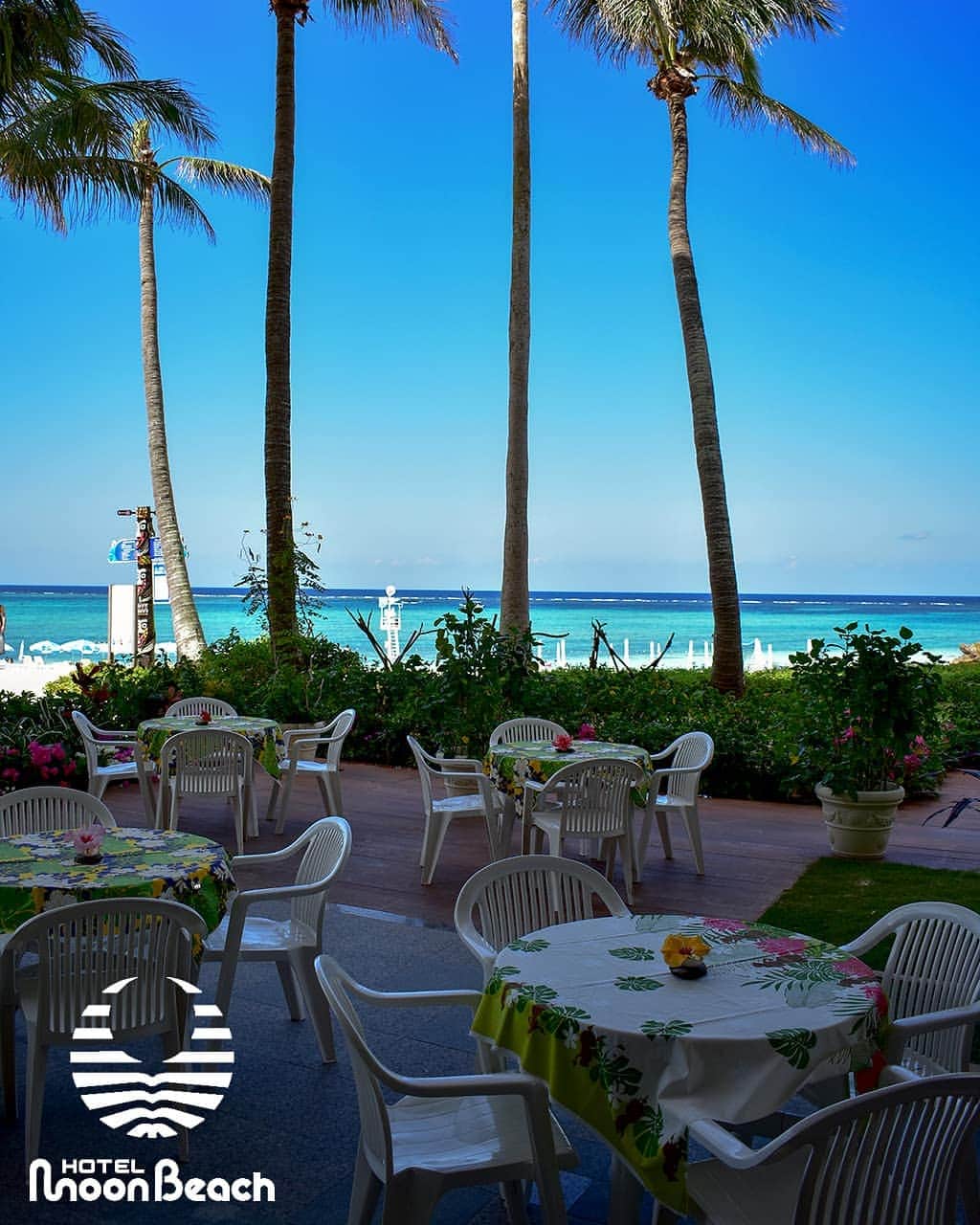 ホテルムーンビーチさんのインスタグラム写真 - (ホテルムーンビーチInstagram)「昨日よりビーチ前のカフェテラス「ボワール」オープンいたしました。沖縄そばやハンバーガー、タコライスなど、水着のままでお召し頂ける軽食を販売しております。 Cafe Terrace "Voile" 21Oct2018 #沖縄 #okinawa #恩納村 #沖縄サンセット #summer #beach #pool #hotel #旅行 #海 #westcoast #vacances #夏 #旅 #infinity #女子旅 #ビーチ #プール #リゾート #sunset #夕焼け #夕陽 #instagram #photo #travelphotography #写真 #インスタ映え #japan #moonbeach #docomomo」4月2日 18時09分 - themoonbeachmuseumresort