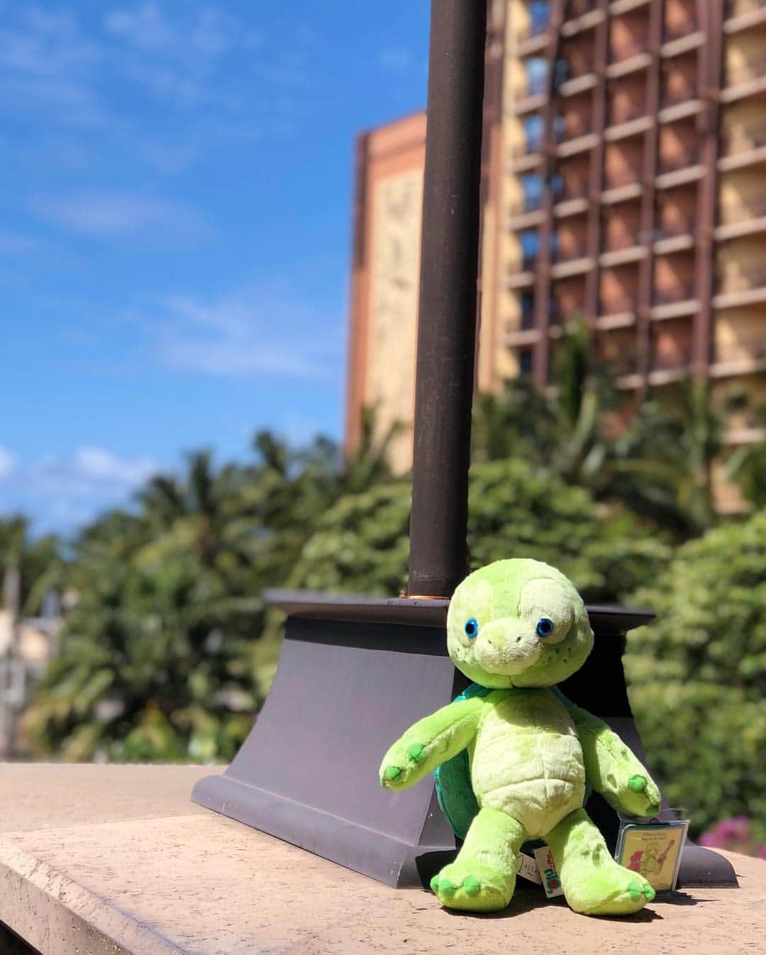 manamisotayutaさんのインスタグラム写真 - (manamisotayutaInstagram)「#Hawaii 🌺🌺 今回の旅の大きな目的‼︎‼︎ 長年の夢❤︎❤︎ @disneyaulani  へ✨ 数ヶ月前に朝食を予約♡ シェフミッキーより全然予約はとりやすい♪ 念願のアウラニのミッキーに会えて大興奮✨  Hawaiiのミッキーたちは陽気❤️ ミニーやプルート、グーフィーたちと一緒に踊ったり、たくさん触れ合えたよー❤️ disney好きにはもぅたまらん😭❤️❤️ 幸せなひと時でした❤️ 朝食ビュッフェも、ミッキーワッフルなどなど、とーっても豪華✨ #アウラニディズニー にしかいない#ダッフィーフレンズ の仲間、亀🐢の#オル くんも無事get💗 子どもたちもすっごく喜んでくれたし❤️ またいつか絶対行きたい✨ 次は泊まりたぁい❤️ ＊ コーデはこの日のために、アウラニに合いそうなワンピースを @zara  で買ったよ❤︎ 娘のはたまたま似た感じのワンピを Hawaiiの @oldnavy  で買えた😁❤️ グーフィーのアロハシャツとリンクしてるー♪🌺 ＊ ＊ ＊ ＊ #aulanidisneyresort #ディズニー #disney#ミッキー#mickeymouse  #ディズニーコーデ#ディズニー大好き  #親子コーデ#trip#旅行#ハワイ#双子コーデ#genic_hawaii  #カベジョ#gw_mag  #タビジョ#女子旅  #mamagirl #ponte_fashion #locari  #mineby3mootd #retrip_hawaii#ママタビジョ#genic_hawaii」4月2日 18時28分 - manamisotayuta