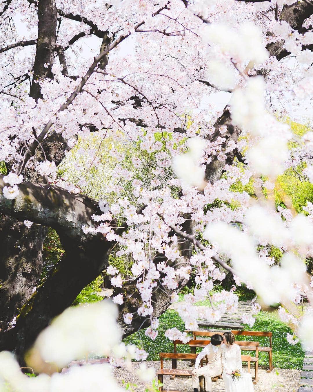 ラクラリエールのグルメインスタ