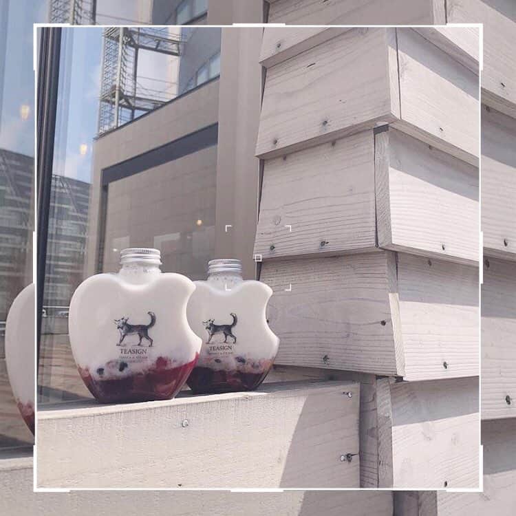 「SNOW」顔認識カメラアプリのグルメインスタ