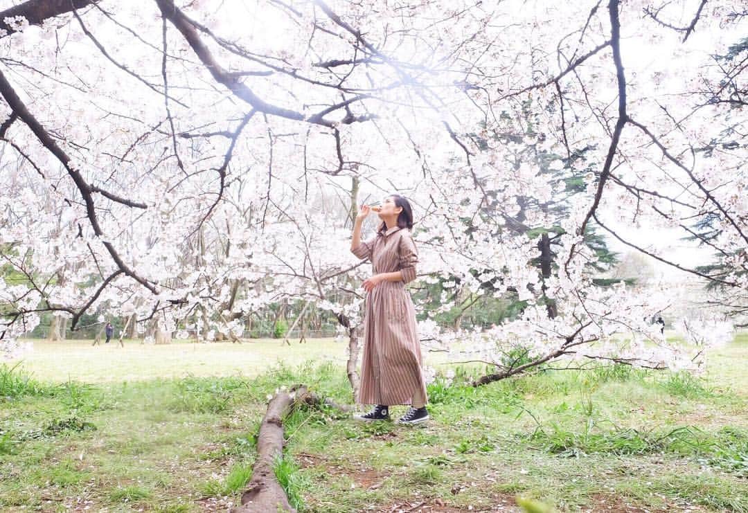 武智志穂さんのインスタグラム写真 - (武智志穂Instagram)「用事が早く終わったから、コンビニでささっとおだんご買って、桜満開の砧公園へ🌸 この季節は暇さえあればここに来たい。 ‌ #砧公園 #お花見 #花より団子 わたし的#東京一のお花見スポット #FUJIFILMXE2 #桜」4月2日 18時37分 - shiho_takechi