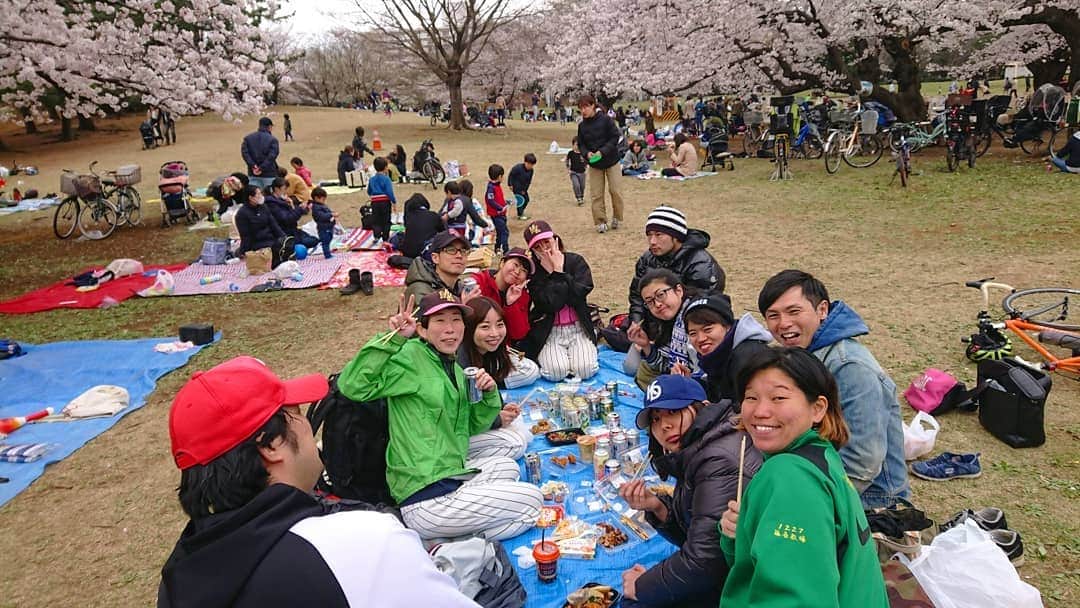 桜花さんのインスタグラム写真 - (桜花Instagram)「そして練習後に公園でお花見しました🌸 ＼(^^)／🌸 楽しかったです🍀 竹岡監督ごちそうさまでした🍀  相撲大会が開催されました🐱🌼笑  去年もお花見したなぁ🍀 思い出が増えていくのは本当に素敵なこと🍀  ゆけゆけ！ミラクルキッシーズ＼(^^)／🌼 #桜  #ミラクルキッシーズ #花見  #お花見 #cherrybrossam  #sakura #baseball  #野球チーム #野球  #ハピピーン」4月2日 18時38分 - mountainohka