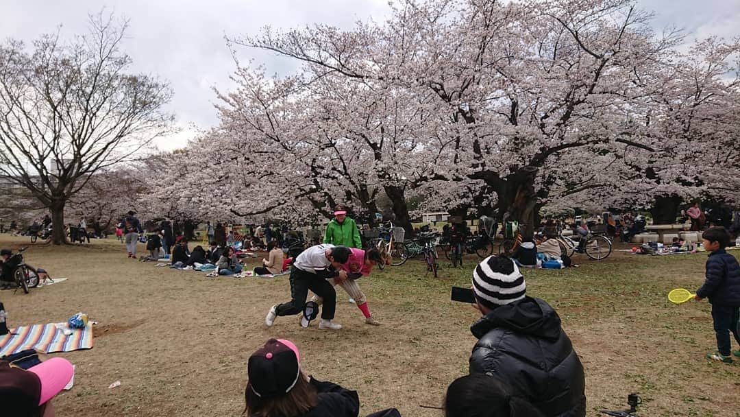 桜花さんのインスタグラム写真 - (桜花Instagram)「そして練習後に公園でお花見しました🌸 ＼(^^)／🌸 楽しかったです🍀 竹岡監督ごちそうさまでした🍀  相撲大会が開催されました🐱🌼笑  去年もお花見したなぁ🍀 思い出が増えていくのは本当に素敵なこと🍀  ゆけゆけ！ミラクルキッシーズ＼(^^)／🌼 #桜  #ミラクルキッシーズ #花見  #お花見 #cherrybrossam  #sakura #baseball  #野球チーム #野球  #ハピピーン」4月2日 18時38分 - mountainohka
