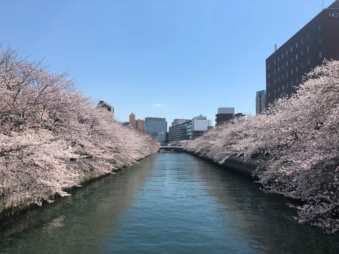武内裕之さんのインスタグラム写真 - (武内裕之Instagram)「Beyond description 🌸 #sakura #japan #view #tokyo #cherryblossom」4月2日 18時40分 - takechanneeel