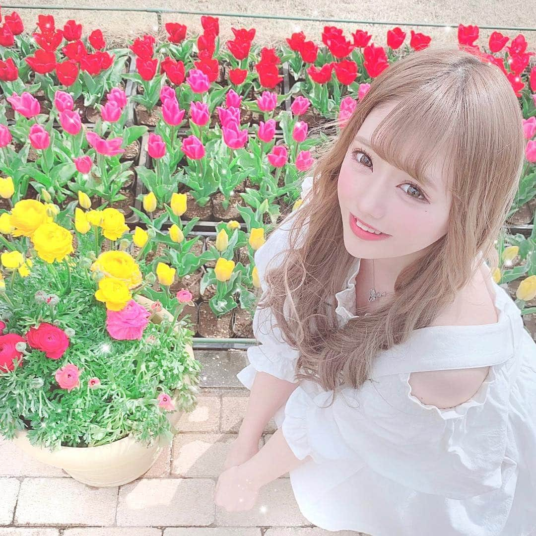 楠みゆうさんのインスタグラム写真 - (楠みゆうInstagram)「ちゅーりっぷかわいい🌷#あしかがフラワーパーク #チューリップ #栃木」4月2日 18時46分 - miyuu_yuzuriha