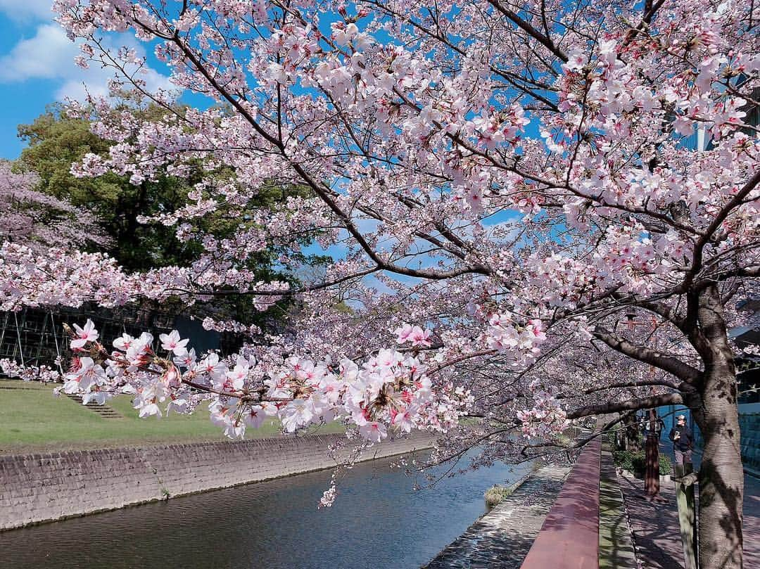 スザンヌさんのインスタグラム写真 - (スザンヌInstagram)「熊本城🏯と桜🌸﻿ 最高のすき。 ﻿ ﻿ ありがとう熊本﻿ ありがとう桜﻿ ﻿ ﻿」4月2日 18時46分 - suzanneeee1028