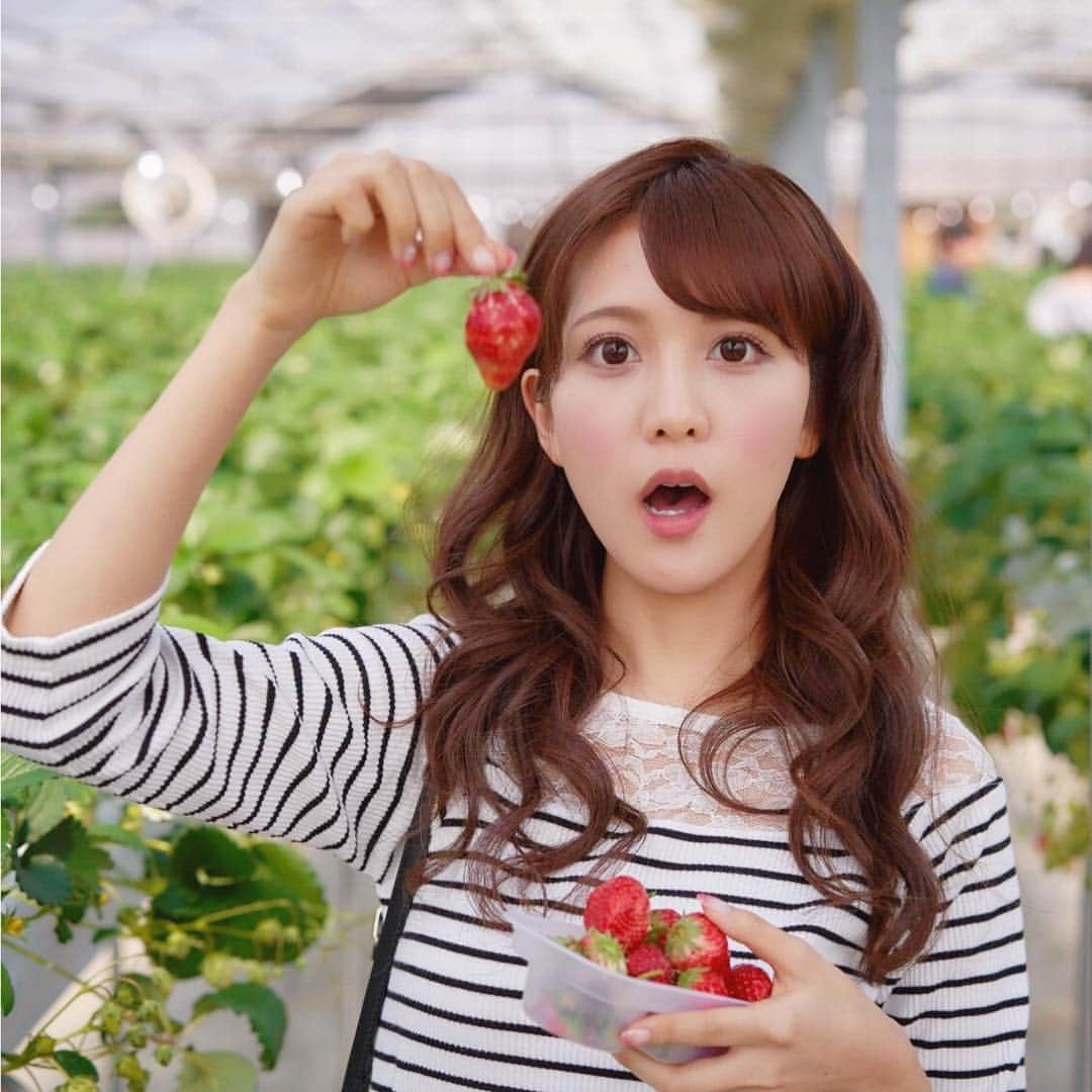 石川彩夏さんのインスタグラム写真 - (石川彩夏Instagram)「strawberry🍓 * みんなに薄々気づかれてるけど 寝てる時と食べてる時が一番幸せ💓 そして、いい顔してる😍💕 イチゴ🍓食べたくてスーパー行ったら まさかの売り切れだったよー(；ω；) *」4月2日 18時59分 - ayaka0711zi