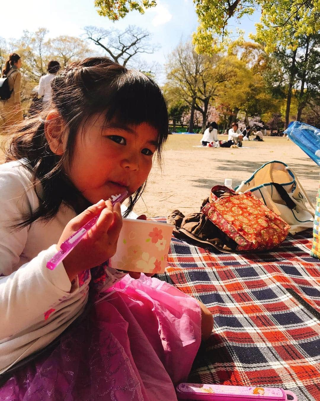 スザンヌさんのインスタグラム写真 - (スザンヌInstagram)「隙あらば花見🌸﻿ ﻿ ただ、わたしたちの花見場所は﻿ 真緑のこのー木なんの木🌳の下。﻿ ﻿ 花見という名の﻿ 公園遊びと報告会💕﻿ さきちゃん最高美味しいお花見弁当をありがとう😊❤️ ﻿ 久々熊本でのんびりするおやすみ。﻿ 充実っ🙏﻿ ﻿ ﻿ ﻿ #熊本城﻿ #桜﻿ #この木なんの木 ﻿ #の下で﻿ #お花見﻿ #幼馴染と﻿ #子どもたちの幼馴染﻿」4月2日 18時55分 - suzanneeee1028