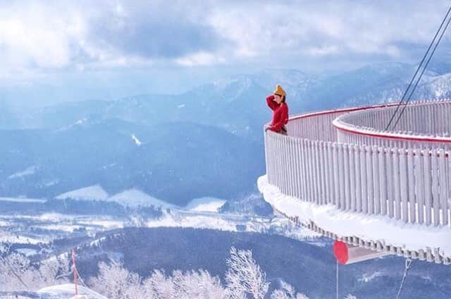 Stayway女子のグルメインスタ