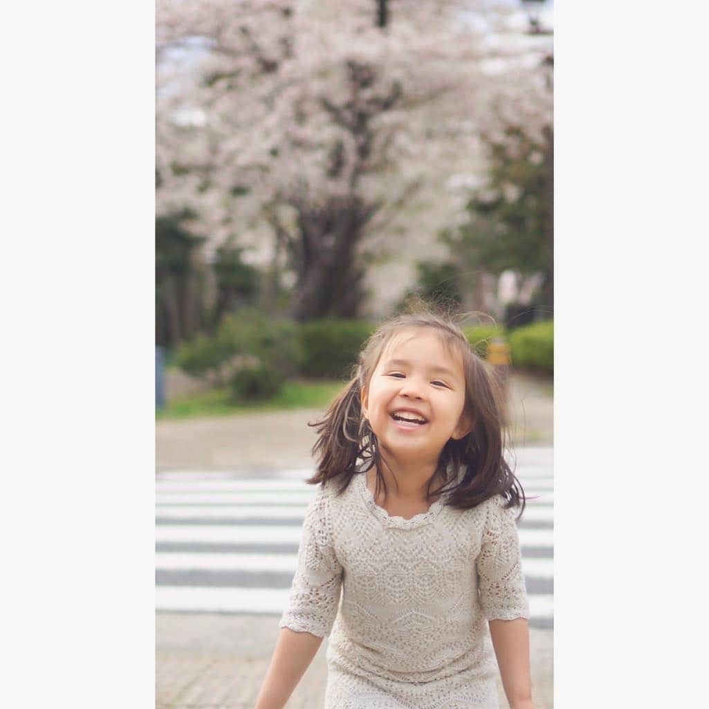 バイリンガル3兄妹のインスタグラム：「桜… うちの方はそろそろ満開かな♡ ・ スーパー人見知りで 家族写真も撮れないおはなさん。 ・ だって家族で写真撮る場合 他人がカメラマンになるからね😂 ・ 他人に向けて笑顔を作るなんて無理！😂 ・ というわけで この世でおはなの笑顔の写真を撮れるのこの私だけなのであーる♡ ・ ・ #桜 #cherryblossom #はなち #4歳 #年中さん #バイリンガル #バイリンガル3兄妹」