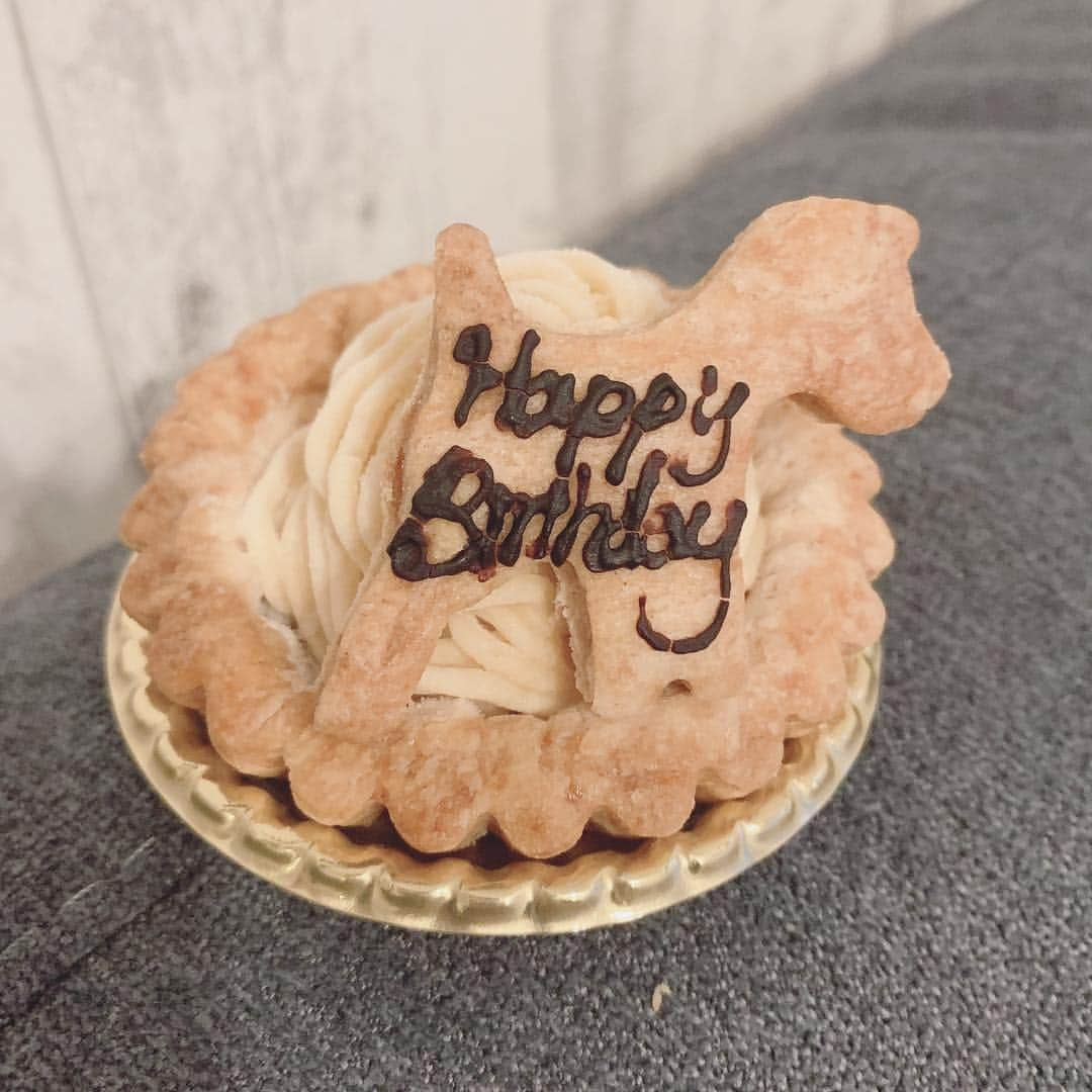 神谷美伽さんのインスタグラム写真 - (神谷美伽Instagram)「トリミングに行ったら🐶誕生日ケーキ頂きました♡すごく喜んでる✨✨いつも理想よりちょっと短めで、1週間くらい経った時の長さが好き 笑笑  ライス改めておめでとう🥂✨ #ポメラニアン #love #happybirthday #犬用ケーキ #犬のいる暮らし #愛犬#5歳 #女の子」4月2日 19時14分 - mikakamiya14