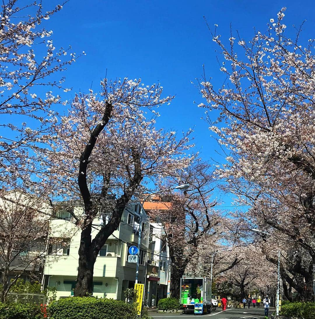 福原美穂さんのインスタグラム写真 - (福原美穂Instagram)「気がつけば桜も満開から散りだし。 新しい年号が発表になり。 新年度がはじまり。 昨日のぎっくりごし、エイプリルフールじゃありません。笑 まさかの出来事。笑  さ、身と気を引き締めて新年度参ります。 もう来週へと迫った4/12の日本福音ルーテル教会でのライブ、そして4/19札幌cube gardenでのライブ。 明日からメンバーとのリハーサルがはじまります。  春の爽やかな、温かなライブにしたいとおもいます。 去年のくれに作ったグッズ、まだ持っていない方もいるかな、会場でも置きたいとおもいます。  楽しみだなぁ。  おまちしてます。  #新年号 #令和元年 #新年度 #桜 #show #tour #somethingbeautifultour #2019 #spring #日本福音ルーテル教会 #新大久保 #札幌 #cubegarden」4月2日 10時32分 - miho_fukuhara