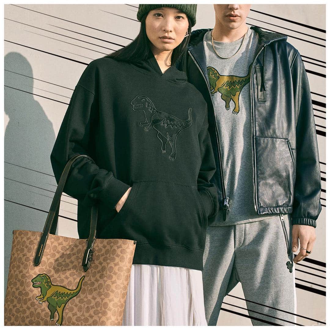のインスタグラム：「Creature comforts. 🦖 #RexyTheCoachDino, aka, our favorite mascot, gets a collection all her own. Discover the new line-up via link in bio. #CoachNY」