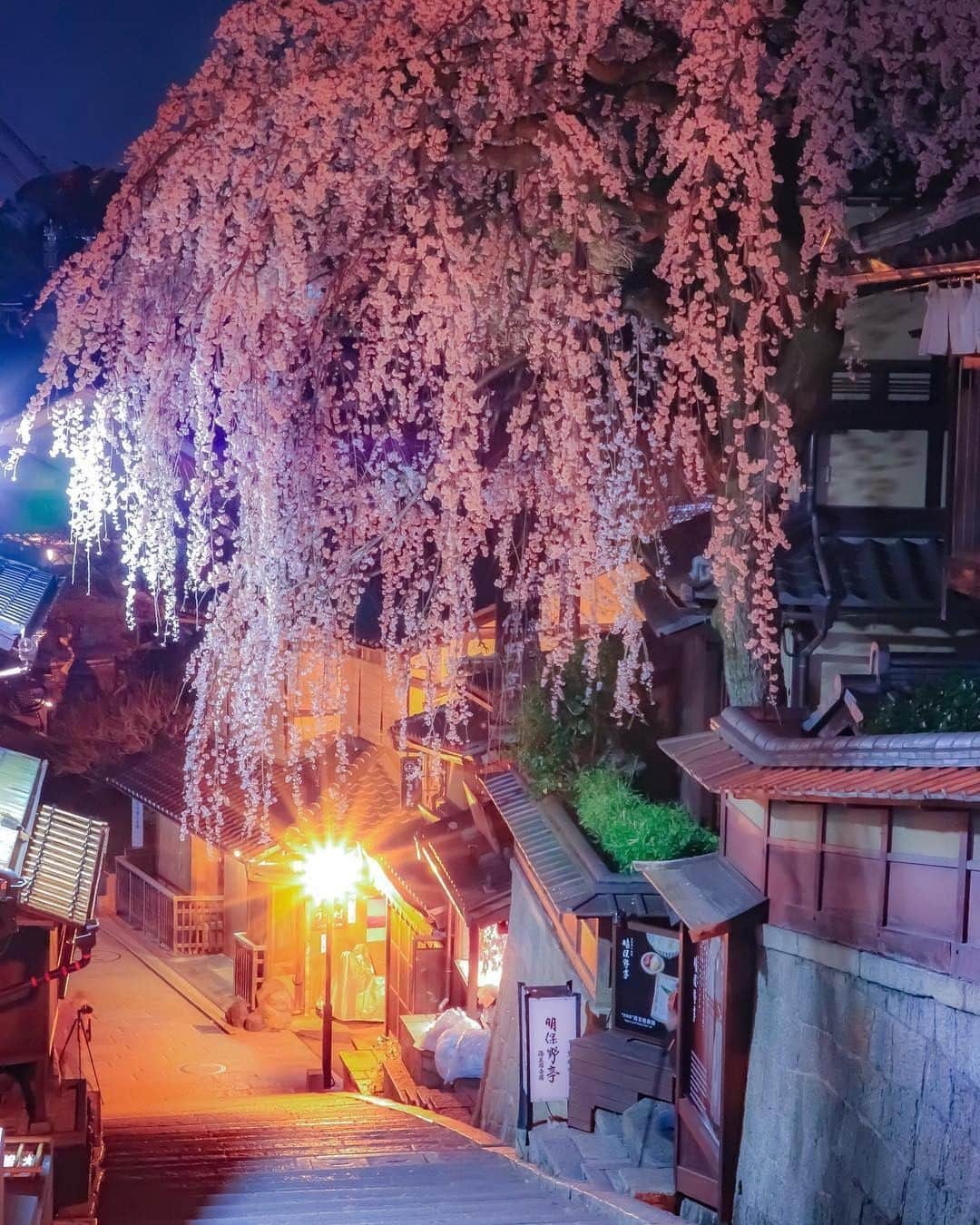 楽天トラベル さんのインスタグラム写真 - (楽天トラベル Instagram)「#京都 #産寧坂 の見事な#枝垂れ桜 の写真を @mr.m_kyoto さんにシェアいただきました！素敵なお写真をありがとうございます😊 . ~~~~~~~~~~~~~ (2019.3.27 撮影) 夜に見るここの枝垂れ桜🌸はホント風情がありますね🌸🌸🌸。夜桜の下でお酒🍶いいですよね(⌒▽⌒) ~~~~~~~~~~~~~ . 旅先で撮った素敵な写真に @rakutentravel をタグ付けしてシェアしてね♪ 厳選してこのアカウントで紹介させていただきます！ . #楽天トラベル #楽天  #rakutentravel #旅 #旅行 #旅に出よう #旅行好きな人と繋がりたい #travel #trip #日本 #japan #일본 #instagramjapan #IG_JAPAN #japantrip #京都 #kyoto #三年坂 #桜 #夜桜 #sakura #cherryblossom」4月2日 11時00分 - rakutentravel