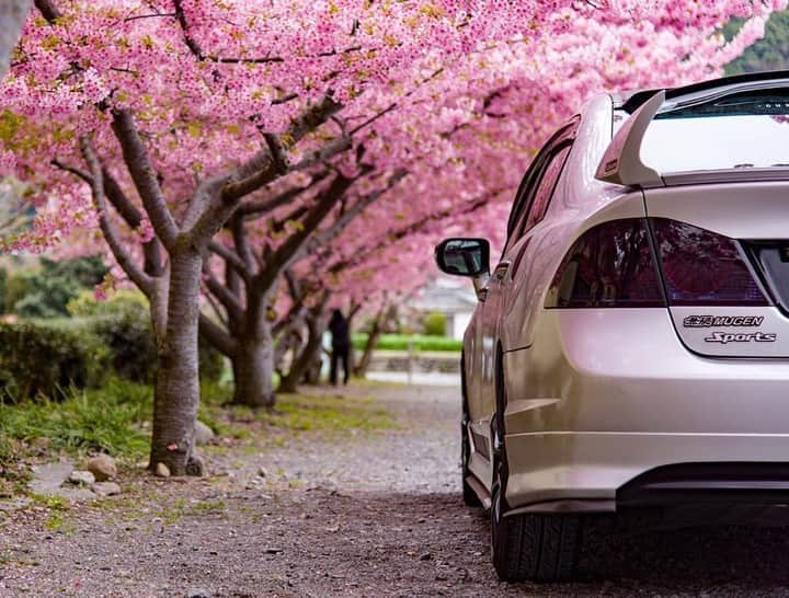 Honda 本田技研工業(株)さんのインスタグラム写真 - (Honda 本田技研工業(株)Instagram)「「桜」⠀ Photo by @tabachan207⠀ .⠀ #写真 #photo #honda #クルマ #シビック⠀ .⠀ 本アカウントでは、「 #MeandHonda 」をつけてInstagramに投稿された皆さんのHonda製品を取り入れた素敵な写真もご紹介していきます。たくさんのご投稿をお待ちしております。」4月2日 11時00分 - hondajp