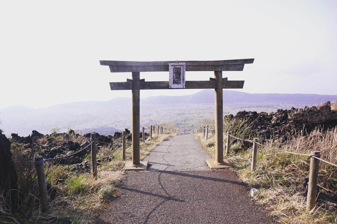 小林希さんのインスタグラム写真 - (小林希Instagram)「﻿三原山でお詣りも﻿ 自然に畏れと敬意を﻿ ﻿ 自然をみれば﻿ なんてちいさく﻿ けなげに生きてるのかと﻿ 自分のことを﻿ 抱きしめてあげたくなる﻿ ﻿ そんなセンチメンタルな﻿ ひとときも、いいよね﻿ ﻿ ——﻿﻿﻿ 伊豆大島は、オンラインサロンの仲間たちと一緒に初の島旅をしてきました。 ﻿﻿﻿ 東京から、東海汽船の高速船でわずか1時間45分。﻿ それでこんな濃い旅ができるんですよ。ね、私も来てからハマったけど、島旅いいですよー。﻿ ﻿ ﻿﻿﻿ #journey #viaje #voyage #travel #japan #旅 #旅女 #トラベル#島#島旅#週末島旅#izu#japan#離島#oshima#ひるねこ隊#旅好きな人と繋がりたい#伊豆大島#東海汽船#さるびあ丸#オンラインサロン#三原山#トレッキング#砂漠﻿」4月2日 11時26分 - nozokoneko