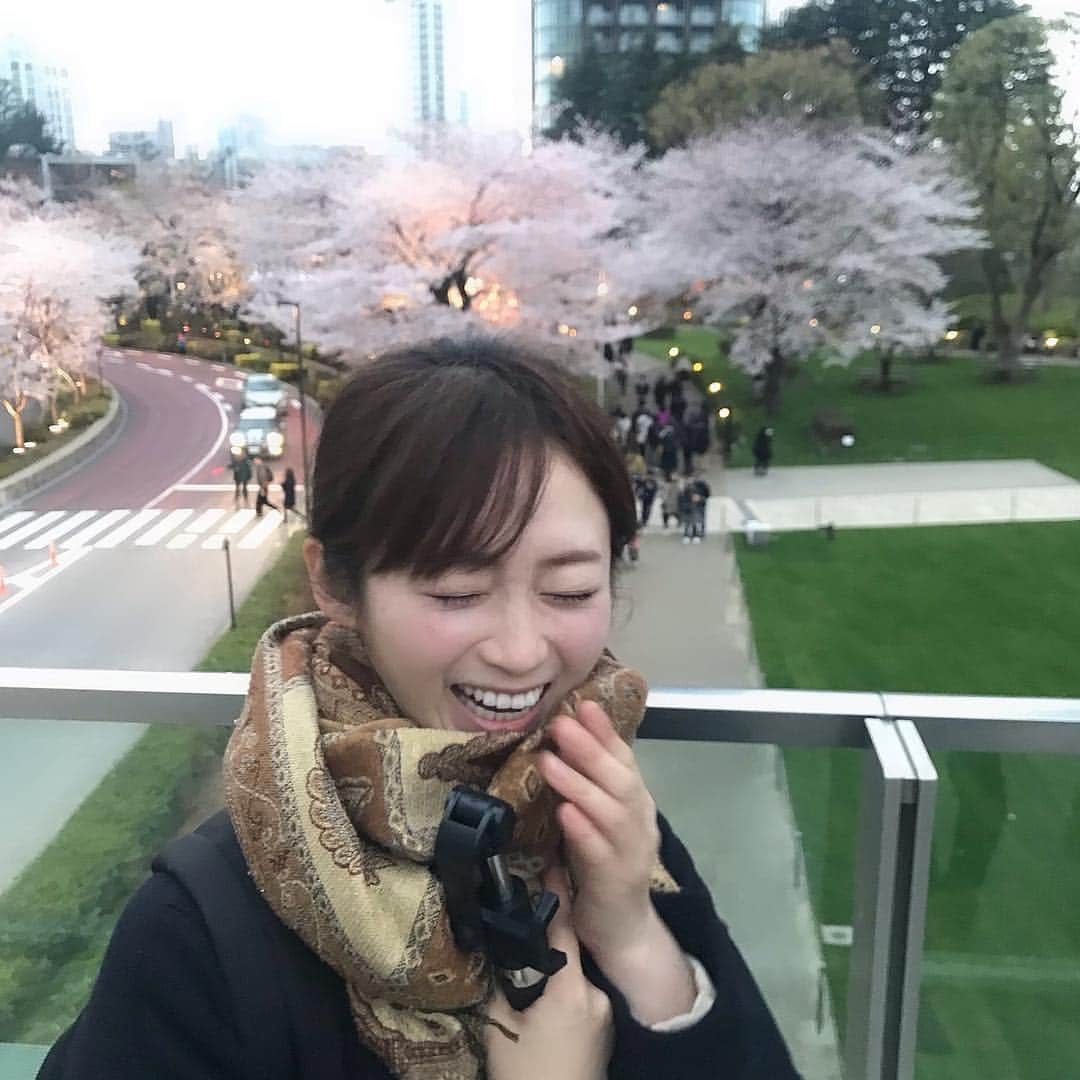 本谷亜紀さんのインスタグラム写真 - (本谷亜紀Instagram)「お花見もピークが過ぎて散り際の桜って感じだねぇ😆それも、好き。でもとにかく毎日寒すぎるーー❗️ #お花見 #ミッドタウン」4月2日 11時26分 - akichi0518_ramen