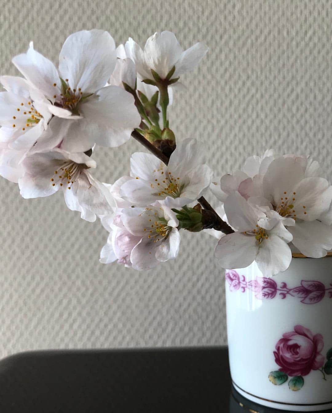 駒田奈美さんのインスタグラム写真 - (駒田奈美Instagram)「・ ・ ・ 【桜色のモノたち】 ・ ・ 柔らな優しい色合いに惹かれて。。。 ・ ・ ・ 我が家にやってきた一本の桜の枝🌸 ・ 公園に落ちていたそう… ・ ・ 我が家に来て3日目 満開になりました🌸 ・ ・ ・ #駒田奈美#オスカープロモーション#モデル#アラフォー#桜#満開#桜色#柔らか#優しい#色合い#公園#令和」4月2日 11時40分 - nami.komada