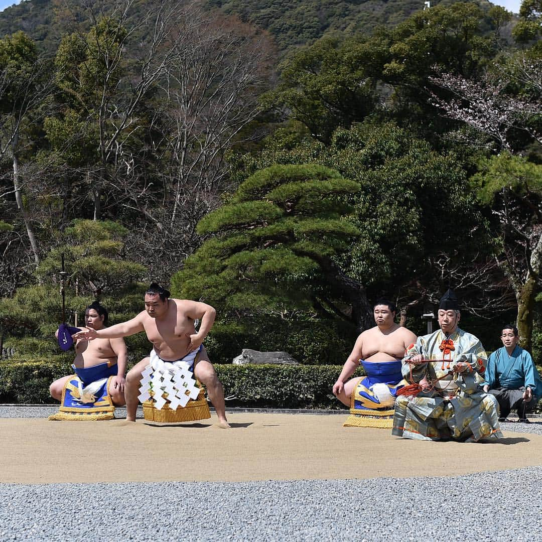 日本相撲協会さんのインスタグラム写真 - (日本相撲協会Instagram)「参拝のあとはお祓いを受け、宇治橋を渡り、五十鈴川のほとりで土俵入り。 #sumo #相撲 #伊勢神宮 #春」4月2日 11時49分 - sumokyokai