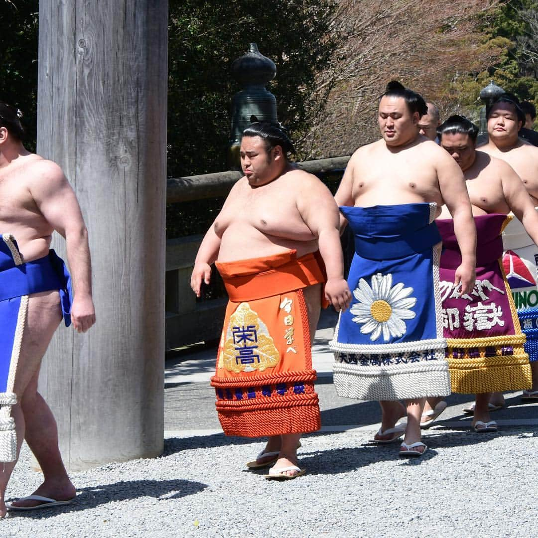 日本相撲協会さんのインスタグラム写真 - (日本相撲協会Instagram)「参拝のあとはお祓いを受け、宇治橋を渡り、五十鈴川のほとりで土俵入り。 #sumo #相撲 #伊勢神宮 #春」4月2日 11時49分 - sumokyokai