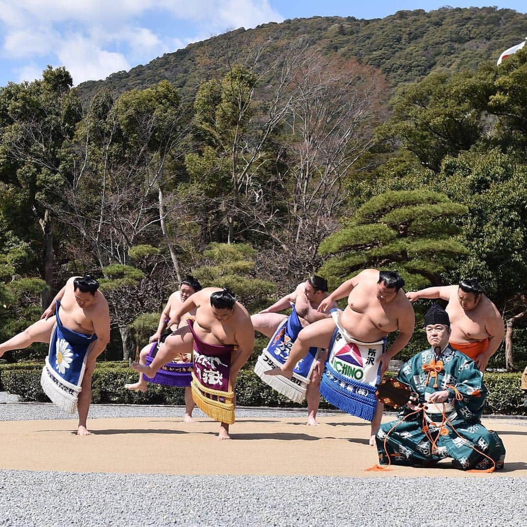 日本相撲協会さんのインスタグラム写真 - (日本相撲協会Instagram)「参拝のあとはお祓いを受け、宇治橋を渡り、五十鈴川のほとりで土俵入り。 #sumo #相撲 #伊勢神宮 #春」4月2日 11時49分 - sumokyokai
