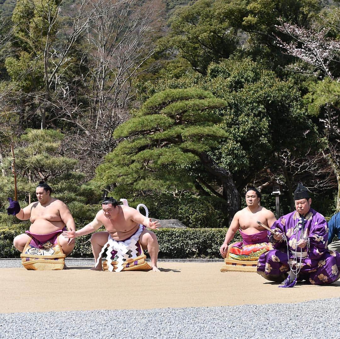日本相撲協会さんのインスタグラム写真 - (日本相撲協会Instagram)「参拝のあとはお祓いを受け、宇治橋を渡り、五十鈴川のほとりで土俵入り。 #sumo #相撲 #伊勢神宮 #春」4月2日 11時49分 - sumokyokai