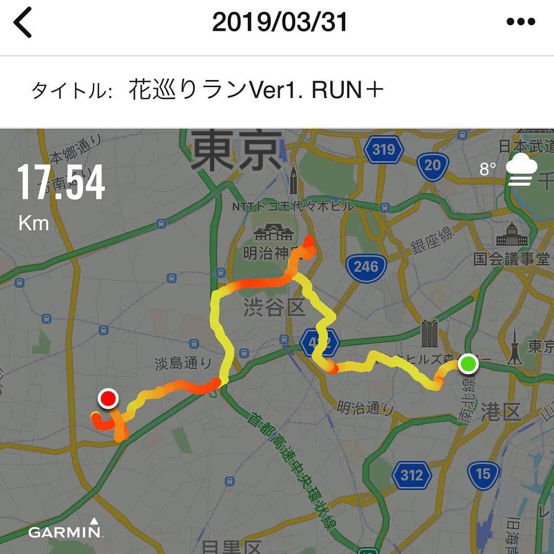 run+さんのインスタグラム写真 - (run+Instagram)「2019.03.31 春RUN漫［#花巡りラン Ver1.］ 桜をメインに、春の花を見ながら🏃‍♀️🏃‍♂️ 季節の草花を盛り込んだ御朱印と、おいしいだけじゃない鮮やかなオープンサンド。 そして春の花以上に華やかでチアフルなランパワー✨ 走りながら🌸見て、🌸御朱印頂いて、🌸食べて全身で春を満喫。 見頃を迎えた満開の桜、緑道を彩る様々な春の花💐 絶好の #お花見ラン 日和に♥ ・ 麻布十番→麻布氷川神社→渋谷氷川神社→ローランズ→目黒氷川神社→太子堂八幡→キャロットタワー の 17.54km ・ 【麻布十番】みんなを待つもまさかの曇天に一抹の不安… ・ 【麻布氷川神社】お雛様と桜が可愛い御朱印。 神社の後ろに高くそびえるマンションのミスマッチな独特の景観 ・ 【渋谷氷川神社】和の神社と洋花の組み合わせが、レアなチューリップの御朱印。 渋谷から近いとは思えないほど広い境内 ・ 【ローランズ】美味しいだけじゃない、食べれるお花の華やかなオープンサンド。 満開の桜を眺めながら #都会のオアシス でランチ ・ 【目黒氷川神社】目黒川に咲く桜の御朱印。 高ーい階段を上がって入ると、和傘と野立ての素敵な境内 ・ 【烏山川緑道】両側に花々が溢れる緑道で春の花満喫っ！ ・ 【太子堂八幡神社】花の大仏様とインコの御朱印。境内では沢山のうさちゃんと頂いた御朱印のモデル!?の様なインコちゃん。 ・ 【太子堂商店街】三茶の商店街を抜けてゴール地のキャロットタワーへ ・ 【キャロットタワー】世田谷商店街"がーやん"と、三茶のマスコット"三茶わん"に遭遇！とっても賑やかな集合写真 ・ 花を見ながら走るのはもちろん、御朱印もエイドも花をポイントに考えた今回の #花巡りラン 最後のゆるキャラサプライズ登場&撮影は嬉しい想定外🤣 ・ ご一緒頂いた皆さまありがとうございました！！ ・ ＊-------------------------------------------------＊ #RUNPLUS #ランニケーション #run➕ #run➕おいしい #run➕パワーチャージ #RUN詣 #run➕御朱印 #run➕友達 ＊-------------------------------------------------＊ ・ #御朱印 #御朱印ラン #御朱印RUN ・ #花見ラン #花見RUN #桜ラン ・ #花見  #桜 #ランニング #RUN #ゆるラン #走れるって幸せ ・ #ガーミン #エディブルフラワー #ハシリマスタグラム #ハシリマシタグラム #走るひと #ランニケーション ・ #Runday #RunLovesLife」4月2日 12時11分 - runplus