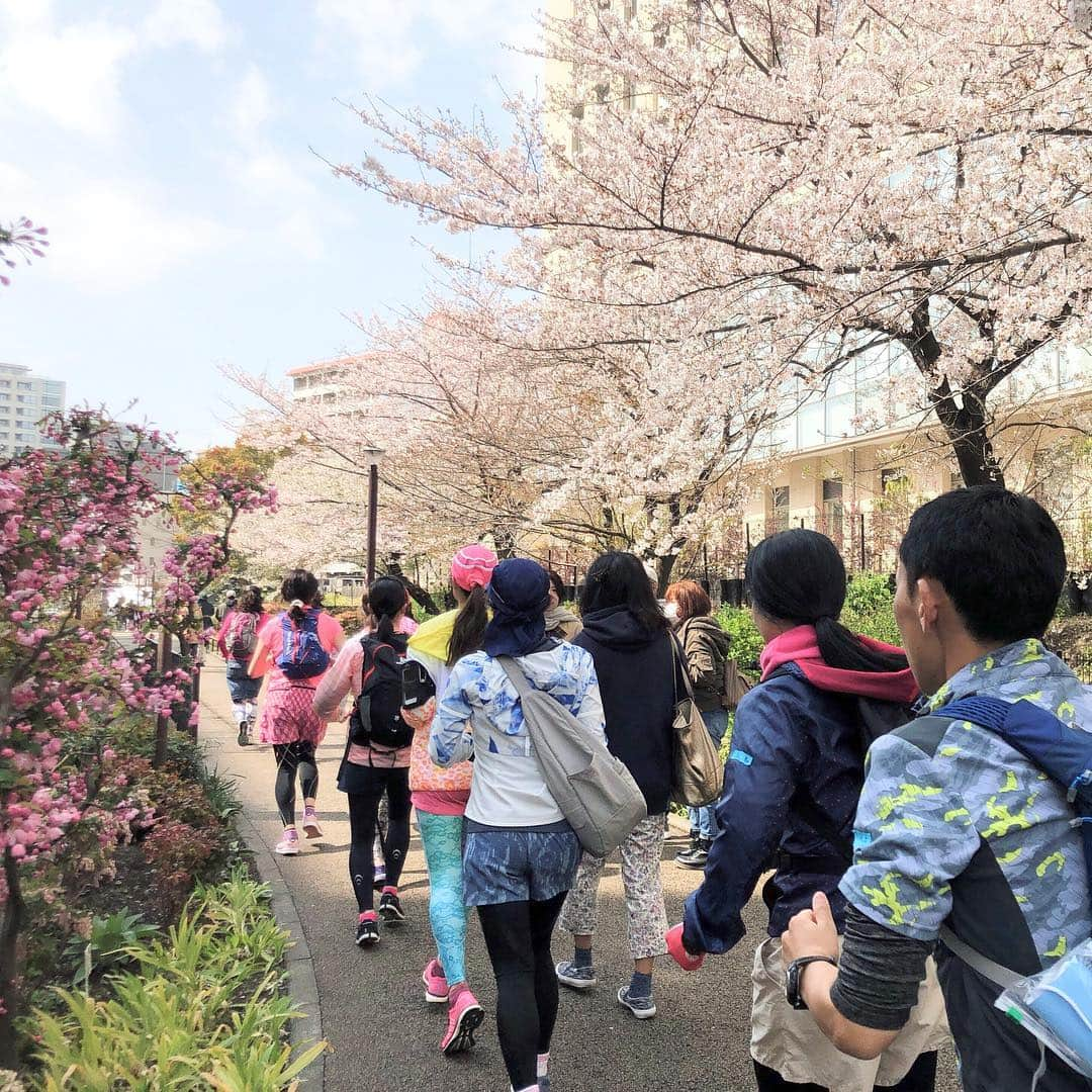 run+さんのインスタグラム写真 - (run+Instagram)「2019.03.31 春RUN漫［#花巡りラン Ver1.］ 桜をメインに、春の花を見ながら🏃‍♀️🏃‍♂️ 季節の草花を盛り込んだ御朱印と、おいしいだけじゃない鮮やかなオープンサンド。 そして春の花以上に華やかでチアフルなランパワー✨ 走りながら🌸見て、🌸御朱印頂いて、🌸食べて全身で春を満喫。 見頃を迎えた満開の桜、緑道を彩る様々な春の花💐 絶好の #お花見ラン 日和に♥ ・ 麻布十番→麻布氷川神社→渋谷氷川神社→ローランズ→目黒氷川神社→太子堂八幡→キャロットタワー の 17.54km ・ 【麻布十番】みんなを待つもまさかの曇天に一抹の不安… ・ 【麻布氷川神社】お雛様と桜が可愛い御朱印。 神社の後ろに高くそびえるマンションのミスマッチな独特の景観 ・ 【渋谷氷川神社】和の神社と洋花の組み合わせが、レアなチューリップの御朱印。 渋谷から近いとは思えないほど広い境内 ・ 【ローランズ】美味しいだけじゃない、食べれるお花の華やかなオープンサンド。 満開の桜を眺めながら #都会のオアシス でランチ ・ 【目黒氷川神社】目黒川に咲く桜の御朱印。 高ーい階段を上がって入ると、和傘と野立ての素敵な境内 ・ 【烏山川緑道】両側に花々が溢れる緑道で春の花満喫っ！ ・ 【太子堂八幡神社】花の大仏様とインコの御朱印。境内では沢山のうさちゃんと頂いた御朱印のモデル!?の様なインコちゃん。 ・ 【太子堂商店街】三茶の商店街を抜けてゴール地のキャロットタワーへ ・ 【キャロットタワー】世田谷商店街"がーやん"と、三茶のマスコット"三茶わん"に遭遇！とっても賑やかな集合写真 ・ 花を見ながら走るのはもちろん、御朱印もエイドも花をポイントに考えた今回の #花巡りラン 最後のゆるキャラサプライズ登場&撮影は嬉しい想定外🤣 ・ ご一緒頂いた皆さまありがとうございました！！ ・ ＊-------------------------------------------------＊ #RUNPLUS #ランニケーション #run➕ #run➕おいしい #run➕パワーチャージ #RUN詣 #run➕御朱印 #run➕友達 ＊-------------------------------------------------＊ ・ #御朱印 #御朱印ラン #御朱印RUN ・ #花見ラン #花見RUN #桜ラン ・ #花見  #桜 #ランニング #RUN #ゆるラン #走れるって幸せ ・ #ガーミン #エディブルフラワー #ハシリマスタグラム #ハシリマシタグラム #走るひと #ランニケーション ・ #Runday #RunLovesLife」4月2日 12時11分 - runplus