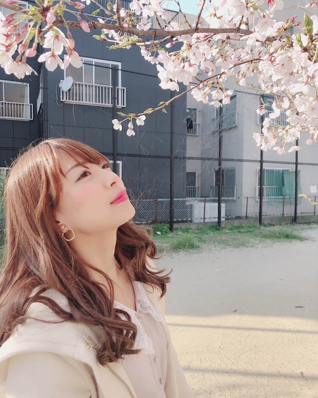 桃咲まゆのインスタグラム：「_ 1枚目のどやりようがすごい #桜」