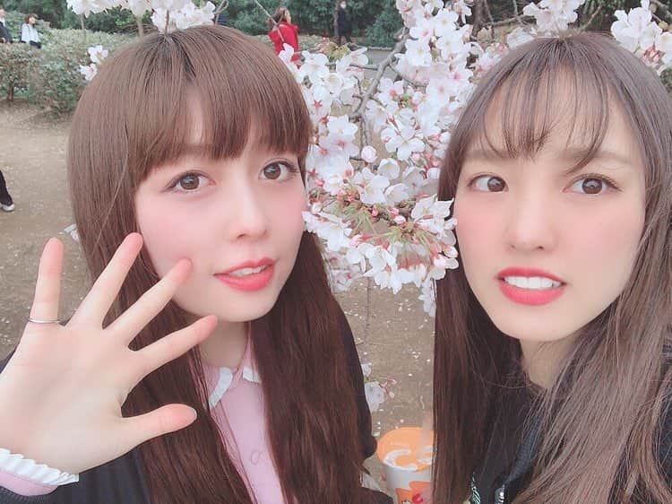 飯窪春菜のインスタグラム：「大好きな南波志帆さんとお花見して生牡蠣食べてダンボ観ました🌸  しほさんと会う時いつも生牡蠣食べてる☺️☺️☺️ #お花見  #桜  #生牡蠣  #ダンボ  #dumbo  #南波志帆  #はるなの毎日」