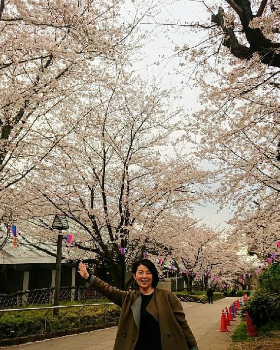 小島奈津子さんのインスタグラム写真 - (小島奈津子Instagram)「2019*4*2 🌸桜満開🌸 ． 今年は肌寒いので、入学式まで🌸もつかな？ ． #令和#飛鳥山公園#桜#満開#sakura#ソメイヨシノ」4月2日 12時21分 - kojimanatsuko_official