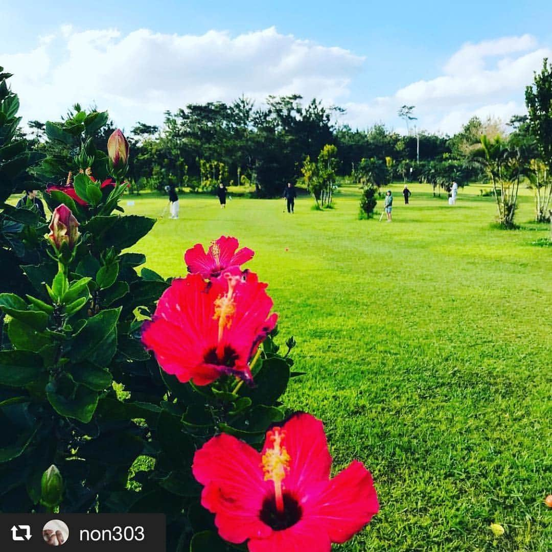 カヌチャリゾートさんのインスタグラム写真 - (カヌチャリゾートInstagram)「.﻿﻿ ﻿﻿🌸ハナナフォトコンテスト🌸﻿﻿﻿﻿﻿﻿﻿﻿﻿﻿﻿﻿﻿﻿﻿﻿ 🌺応募作品紹介🌺﻿﻿﻿﻿﻿﻿﻿﻿﻿﻿﻿﻿﻿﻿﻿﻿ ﻿﻿﻿﻿﻿﻿﻿﻿﻿﻿﻿﻿﻿﻿﻿﻿﻿ #repost﻿﻿ #カヌチャのハナナ2019﻿﻿ ﻿﻿﻿﻿﻿ ＊＊＊﻿﻿﻿﻿﻿﻿﻿﻿﻿﻿﻿﻿﻿﻿﻿﻿ インスタにてハナナフォトコンテスト開催中！﻿﻿﻿﻿﻿﻿﻿﻿﻿﻿﻿﻿﻿﻿﻿﻿ 「#カヌチャのハナナ2019」を付けて投稿するだけ😊🌷﻿﻿〆切は4/7(日)！」4月2日 12時25分 - kanucha_resort