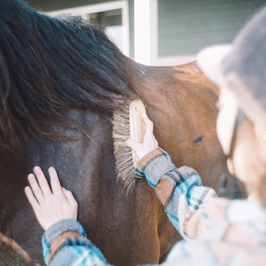 Y U R I Eさんのインスタグラム写真 - (Y U R I EInstagram)「📍ホーストレッキングパーク館山（千葉県館山市犬石1886-1） N-VANでお花見した後はホーストレッキングへ！ 波打ち際を馬に揺られるなんて、映画のワンシーンみたいじゃない🥺？ 乗馬は初心者だけど、愉快なスタッフの方々のおかげで安心して体験できました💛 そして何より私を乗せてくれた たくしぃ君🐴🚕ブラッシングすると気持ちよさそうにしてめちゃくちゃ可愛かった🥺🥺🥺💗ありがとう、たくしぃ🐴🥕 1年中海岸乗馬を実施しているし、会員じゃなくても気軽に体験できるから私みたいな初心者の方にもオススメです😊都心からは車で約95分くらいだよ🚙♬ 日帰りでもいけちゃうね〜！ ph // @chiaoking  #千葉#館山#乗馬#海#波打ち際#ホーストレッキング#休日#週末#ソトアソビ#VANLIFE #バンライフ#HondaVanlife #ホンダバンライフ #Honda #ホンダ」4月2日 12時55分 - yuriexx67