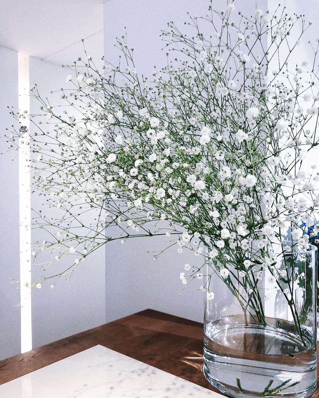 丸林広奈さんのインスタグラム写真 - (丸林広奈Instagram)「一番好きなお花🌿 #かすみ草 #babybreaths #flower #interiordesign」4月2日 13時16分 - hironamarubayashi