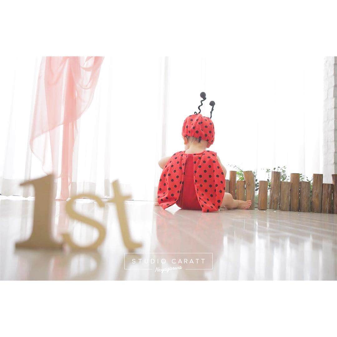 スタジオキャラット 寝屋川店のグルメインスタ