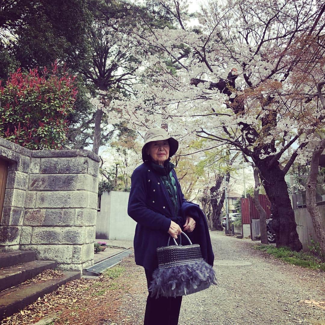 岡田美里さんのインスタグラム写真 - (岡田美里Instagram)「帽子、星のついた紺のカシュクール、羽根のついたバッグ…全部私の😂✨ #静子87歳#お花見#桜#お散歩」4月2日 13時24分 - millieokada