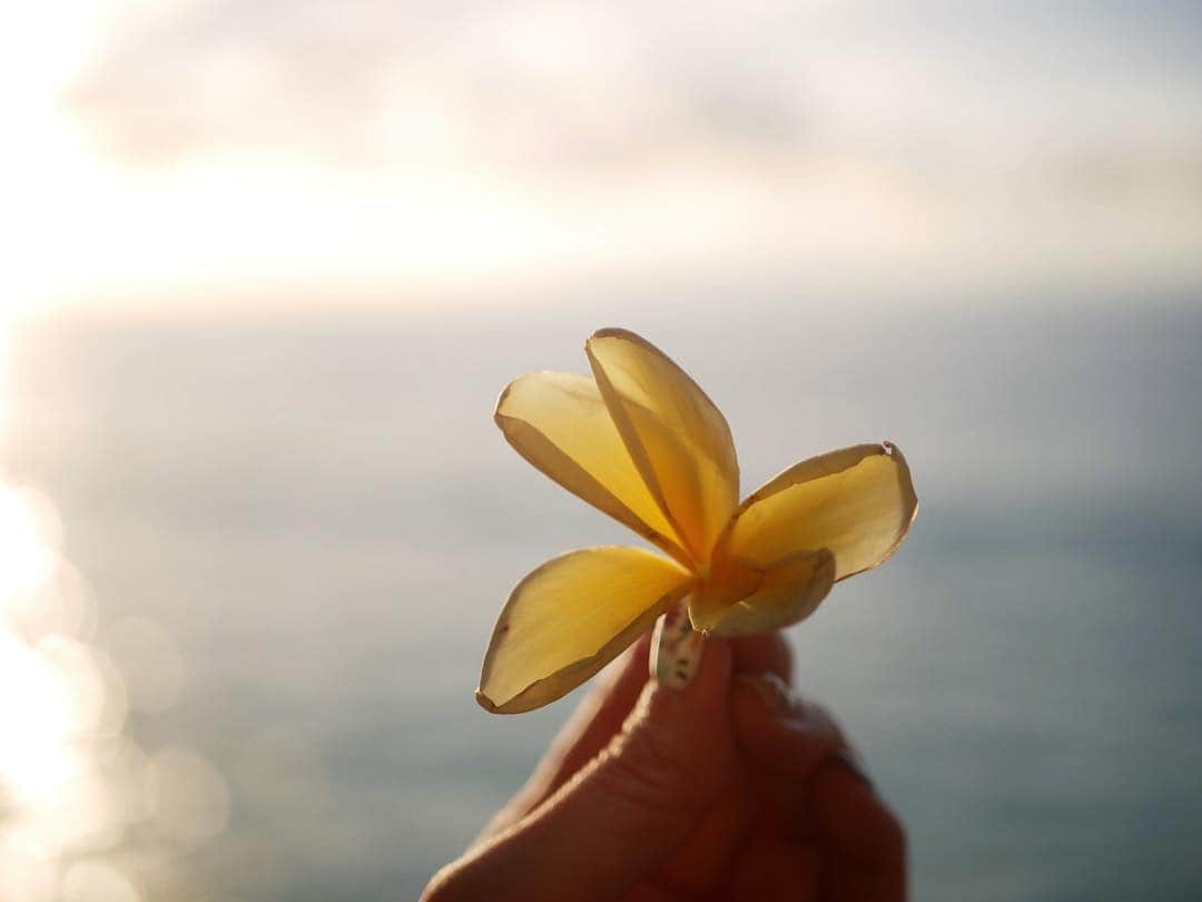 のインスタグラム：「AYANA RESORT AND SPA @ayanaresort  念願のアヤナリゾートに宿泊。 どこの場所もBALIを感じる大自然🌿 Morning yogaで体を目覚めさせてから、いろんなシチュエーションのプールで楽しんで、グルテンフリーランチをしたり☺︎ ドレスアップしてRock barで絶景を見ながらサンセットや星空をみたり。 一流のサービス、料理、SPAで洗練された大人のBALIを堪能✨ とっても広くて、まだまだ全部回りきれなかったので、もう一度泊まってみたいです♡ #ayanaresort #ayanaresortbali #rockbarbali」