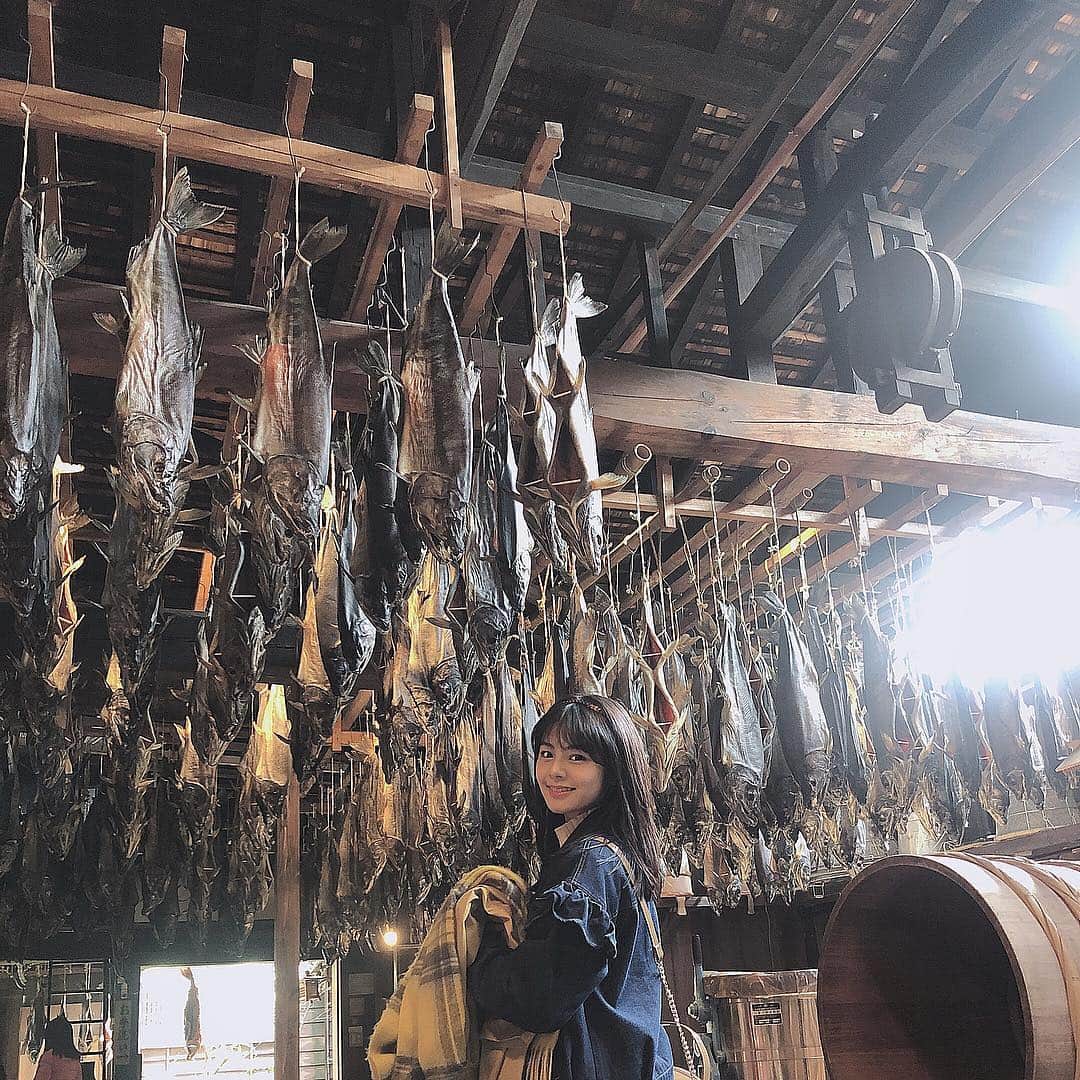 本間日陽のグルメインスタ