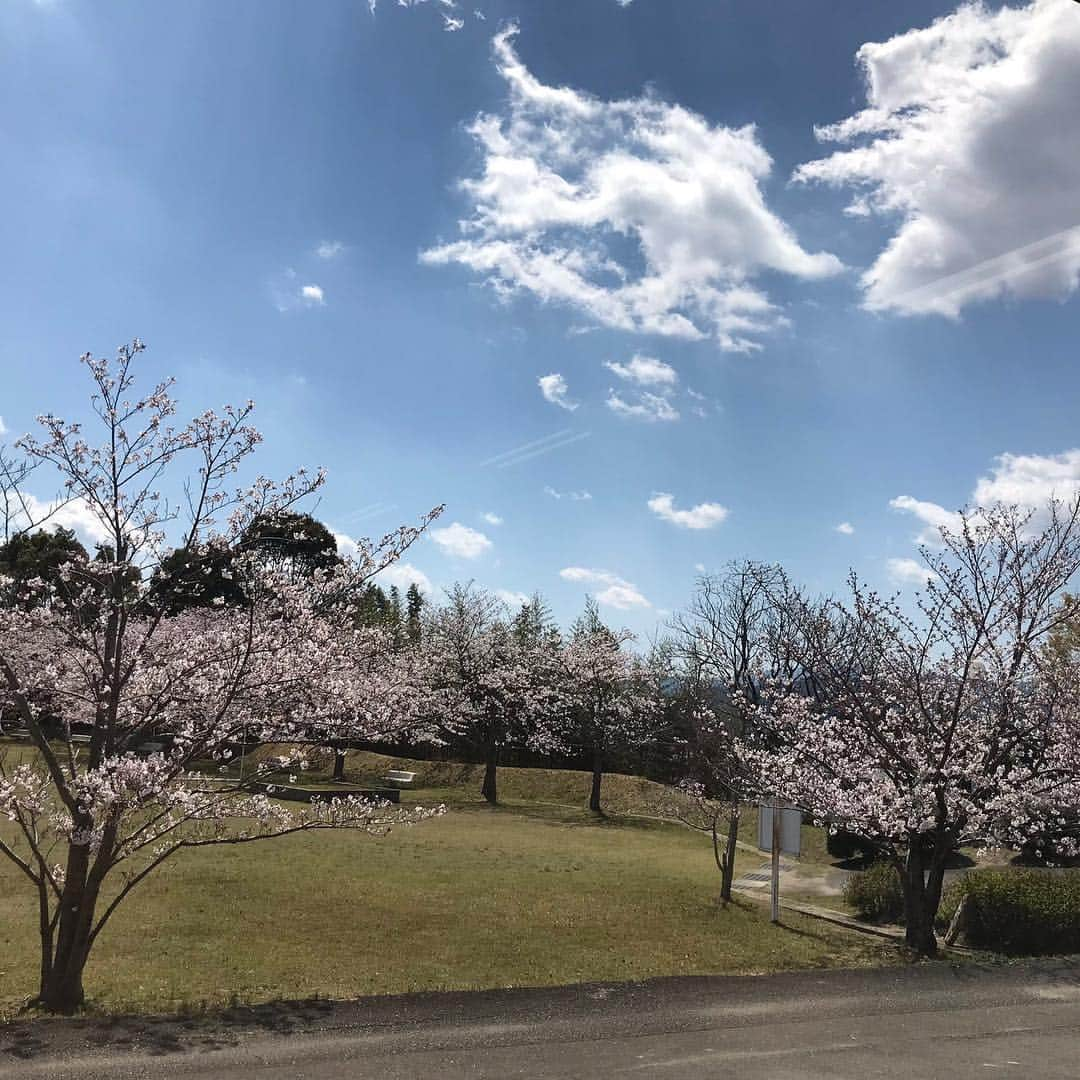 福岡女子短期大学さんのインスタグラム写真 - (福岡女子短期大学Instagram)「@子ども学科 新年度が始まり、5月からの新元号も発表されましたね。子ども学科教員の教員は昨年度と変わらず、このメンバーです。今年度もよろしくお願いします🌸  #福岡女子短期大学 #福女短 #子ども学科 #子ども学科の春  #保育士 #保育士の卵 #受験生 #高校生 #福岡女子短期大学子ども学科　#幼児教育　#保育士の卵 #保育士　#幼稚園教諭　#幼稚園教諭の卵　#保育園実習　#保育士になりたい　#保育学科　#保育士のたまご　#保育学科　#大学生　#未来の保育士　#福岡の女子短期大学 #女子大生 #福女短2019桜 　#保育園　#幼稚園 . ======[ 資料請求 ]====== ． 福岡女子短期大学の資料請求（大学案内など）を無料送付中です。お気軽に申し込みください。 . 子ども学科/健康栄養学科 音楽科/文化教養学科 ． 福岡女子短期大学 住所：福岡県太宰府市五条四丁目16番1号 tel：092-922-4034（代表） 092-922-1491（入試広報課） . ====== ====== ======」4月2日 13時50分 - fukuoka_wjc