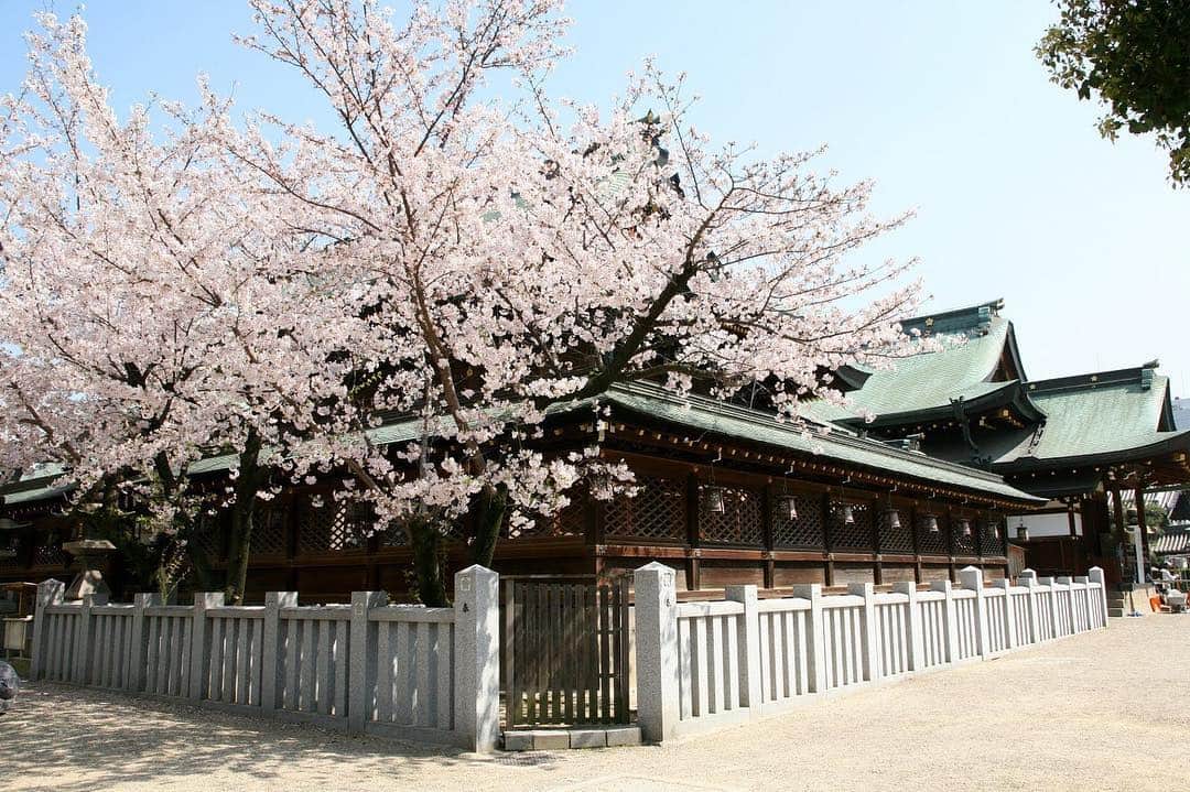 The Ritz-Carlton, Osakaさんのインスタグラム写真 - (The Ritz-Carlton, OsakaInstagram)「寒さが続く中、時折やさしく降り注ぐ日差しのおかげで、大阪の桜も少しずつ花を開かせています。 日本三大祭りの「天神祭」で知られる大阪天満宮も桜色に彩られ、春の訪れを歓迎しています。「和」と「桜」が織り成す日本ならではの美しさを探しに足を運んでみてはいかがでしょうか。 . . The temperature has dropped the past few days but we are starting to see the cherry blossoms slowly bloom in Osaka. Visit Osaka Tenmangu Shrine and experience the beauty of Sakura and the history of Japan. . . . . . . . #RCMemories #theritzcarltonosaka #osaka #japan #hotels #luxury  #japan_vacations #hotelroom #hotellife #beautifulhotels #travelandleisure #besthotels #luxurytrip #Sakura #桜 #beautifuldestinations #wonderfulplaces #大阪 #ザリッツカールトン大阪 #リッツカールトン大阪」4月2日 19時27分 - ritzcarlton.osaka