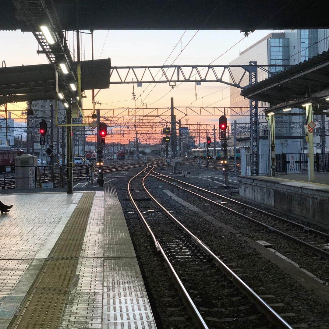 石田一帆さんのインスタグラム写真 - (石田一帆Instagram)「. 楽しすぎた日帰り水戸旅 🚃♡ 撮影していただいた記事が公開されました📙 . 先日納豆パスタなど投稿しましたが その他水戸で訪れたスポットたちを🖍💭 . ● 1〜2枚目 : 茨城県立歴史館 茨城の歴史に関する資料や美術工芸品などが ある施設で特に#旧水海道小学校本館 がオススメ◎ 明治時代の給食も見れるのです🍽 敷地内には#イチョウ並木 があって秋になると とってもキレイなんだそうですが冬の雰囲気も 素敵でした🍁🍂 . ● 3〜5枚目 : 偕楽園 ここが1番のオススメスポット🐾 後楽園や兼六園と並ぶ#日本三名園 として 数えられている偕楽園。 約100種類の3000本の梅が敷地内にあって 2月から3月には梅まつりが開催されています🌸 . 私たちが訪れた2月下旬には 少しずつ白やピンク色に色付いてきた頃で 平日に関わらずすでに大賑わいでした☺️💭 夜のライトアップも気になる〜。 竹林もマイナスイオンたっぷりで素敵でした🌳 . ● 6〜7枚目: 水戸芸術館 コンサートホールや劇場、ギャラリーなどが ある複合施設なんですがここはなんといっても 水戸芸術館のシンボルの100mの塔に圧巻😳 . なんと、中に入ることができて地上86mから 水戸の街並みを一望できました。(超こわい) ここ、際限なく高さを伸ばしていけるのだそう。 水戸市制100周年を記念して建てられたそうなので 次高くなるときは200周年かな？笑 . とまぁ日帰りとは思えないほどたっぷりと満喫♡ . グリーン車でゆったりくつろいで向かえば 車と違って渋滞もなく2時間あっという間に到着🍊 GWの旅先迷ってる方是非オススメしたいです🥰 . #ik_travel#ik_ibaraki#kairakuenpark#kairakuen#plumblossoms#plumblossom#ibaraki#joshitabipress#trip#travel#ibarakitrip#女子旅プレス#常磐線#偕楽園#茨城県立歴史館#水戸芸術館#茨城公園#梅まつり#茨城旅行#茨城#女子旅」4月2日 19時28分 - ishidakazuho