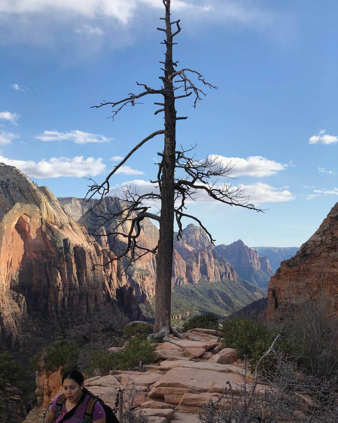 Mike Kriegerさんのインスタグラム写真 - (Mike KriegerInstagram)「Hiking Angel's Landing in Zion was one of my top outdoor experiences ever. Incredible views and we were there just as people started leaving, meaning a pretty empty climb. Full credit to @kaitlyn for doing it 7.5 months pregnant 😍」4月2日 14時05分 - mikeyk