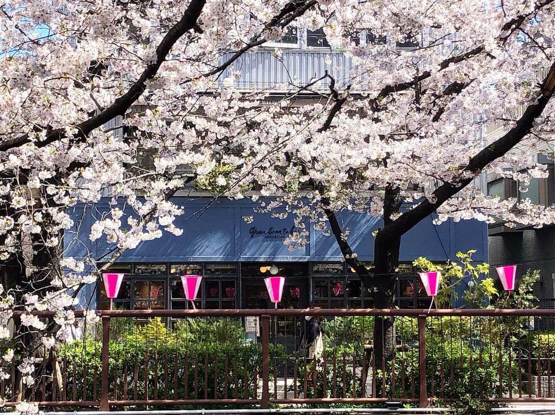 green bean to bar CHOCOLATEのグルメインスタ