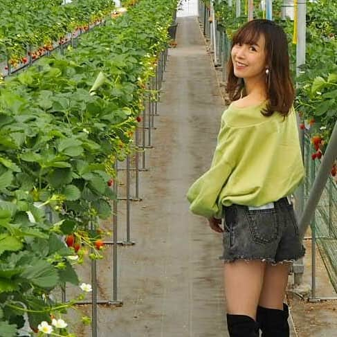 山川恵里佳のインスタグラム