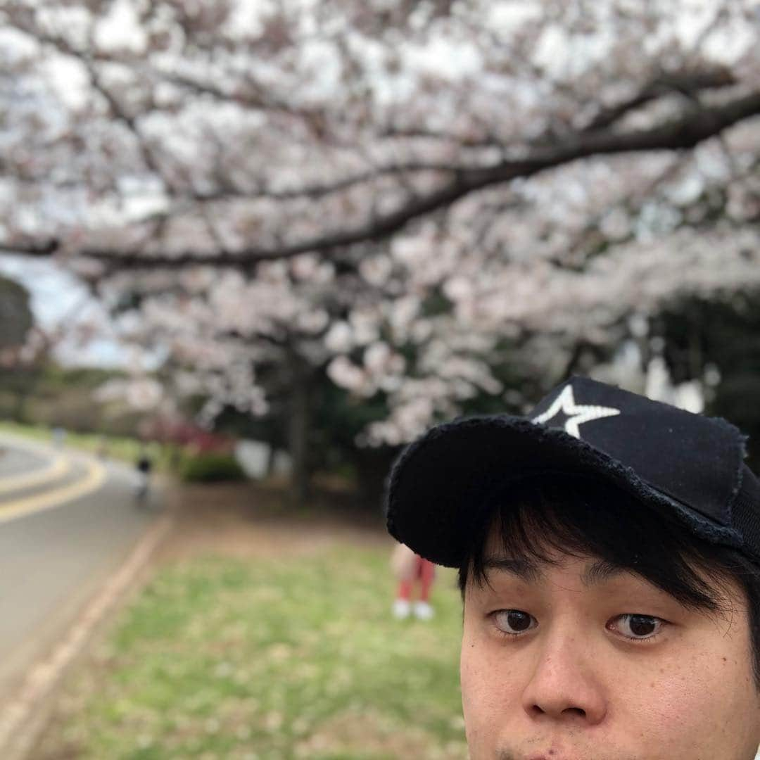 井上裕介さんのインスタグラム写真 - (井上裕介Instagram)「カンコスホリックファミリーで花見して来ました^_^ 桜は、いつ見ても綺麗です。  #NONSTYLE #nonstyle #井上 #江野沢愛美 #車谷セナ #カンコスホリック #ファミリー #大好きな番組 #みんなで花見 #楽しかった」4月2日 15時14分 - nonyusuke