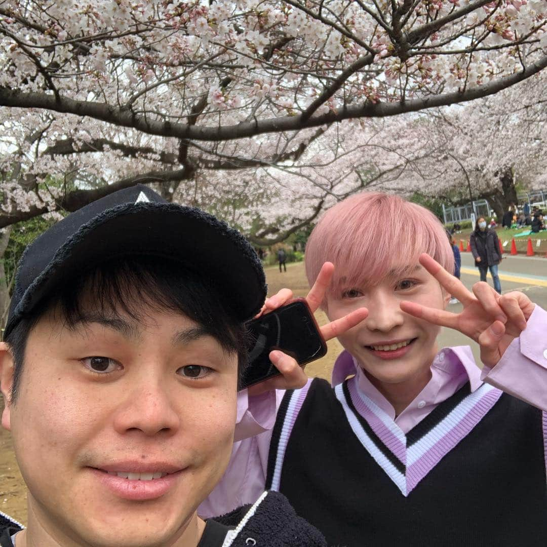 井上裕介さんのインスタグラム写真 - (井上裕介Instagram)「カンコスホリックファミリーで花見して来ました^_^ 桜は、いつ見ても綺麗です。  #NONSTYLE #nonstyle #井上 #江野沢愛美 #車谷セナ #カンコスホリック #ファミリー #大好きな番組 #みんなで花見 #楽しかった」4月2日 15時14分 - nonyusuke