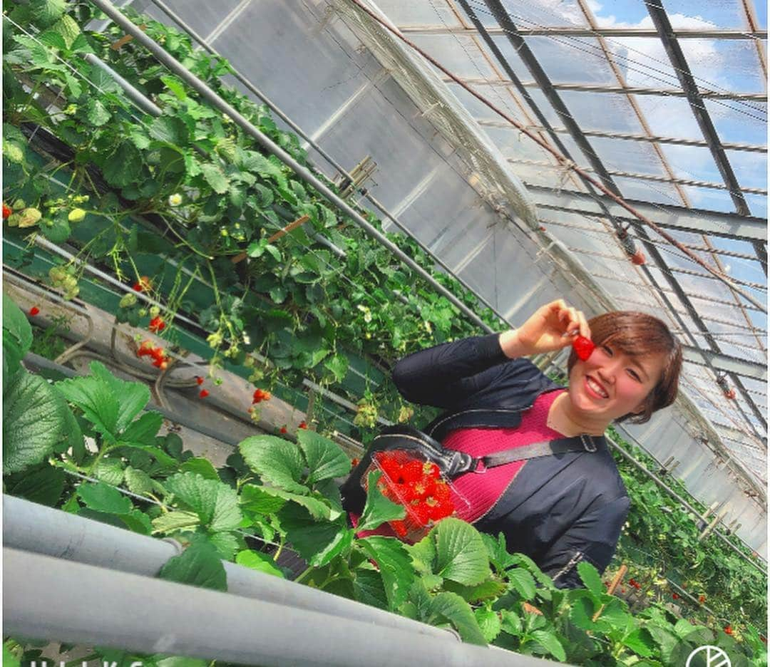 金杉由香さんのインスタグラム写真 - (金杉由香Instagram)「いちご狩り🍓  服装合わせてないのに 同じ服装でおそろコーデみたいになってしまった🤦‍♀️笑  #姫路#いちご狩り#美味しかった」4月2日 15時19分 - kanasugiyuka